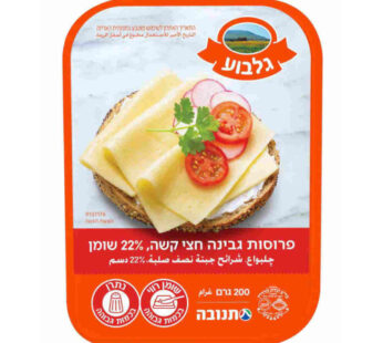 תנובה גלבוע גבינה חצי קשה 22% 200 גרם